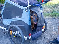 Co se dá cestou potkat