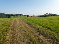 I další cesta je travnatá