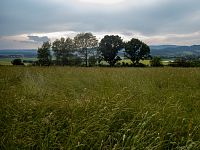 Další zarůstající meze