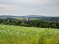 Nový Malín a mák setý