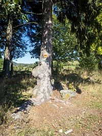 Značení, zelená do kopce, červená příměji