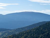 Bezlesí na Sněžníku