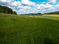 Mírně zvlněná krajina Orlického podhůří