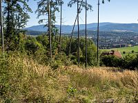 Kůrovec odkryl další výhledy