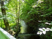 Moravská Sázava jako malá říčka