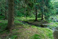 Je tu malý ostrůvek