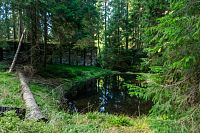 Levobřežní část hráze je zachovalejší