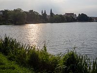 Štěpnický rybník