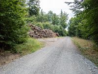 A kůrovcová těžba