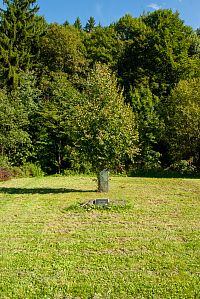 Ludvíkov – Památná lípa (1918–2018)