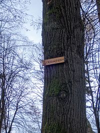 Odbočka z promenády