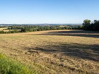 Na zpáteční cestě