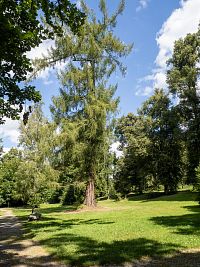 Rozsáhlý park