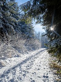 Kolem 600 m n.m. je už pěkná zima