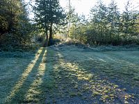 Jinovatka v páteční ráno