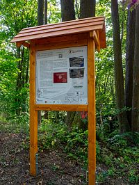 O Smrčině a krupníku