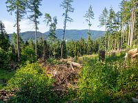 Vzhúru na Havraní vrch