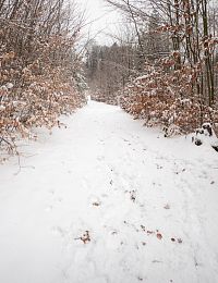 Sníh už jsme na Háji na 1. ledna dlouho neviděli