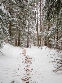 U Červeného kříže