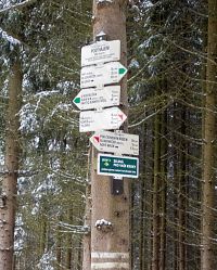 Zelenou ke kostelíčku