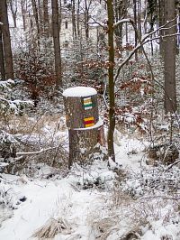 Když se pokácá strom se značení