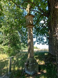 Muka jsou poblíže kóty 319