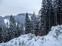 Ostružník s prázdnou sjezdovkou