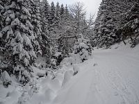 Výše za rozcestím Černý potok