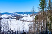 Průhled k Bukové hoře