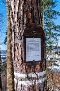 Skalku jsem vynechaů