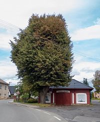 Hasičská zbrojnice s lípou Svobody