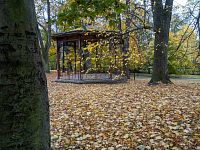 Buk najdeme poblíže altánku