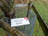 I některé cedulky na třešňové aleji