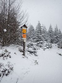 Většinu času sněžilo