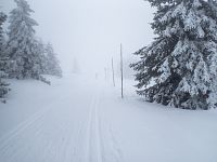 Tyče před Švýcárnou