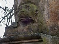 Jakási blíže neurčená šelma