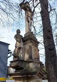 Ten ještěr je si podobnější