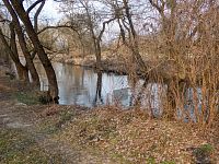 Morava před stavidlem elektrárenského náhonu