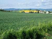 Dědinka – Válečný pomník