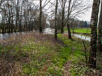 Soutok Moravy a Třebůvky