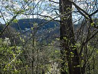 Za stromy hráz přehrady