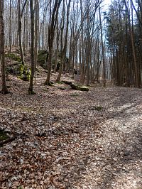 Skalní výchozy pod hradem