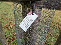 U některých třešní je k vidění i věnování