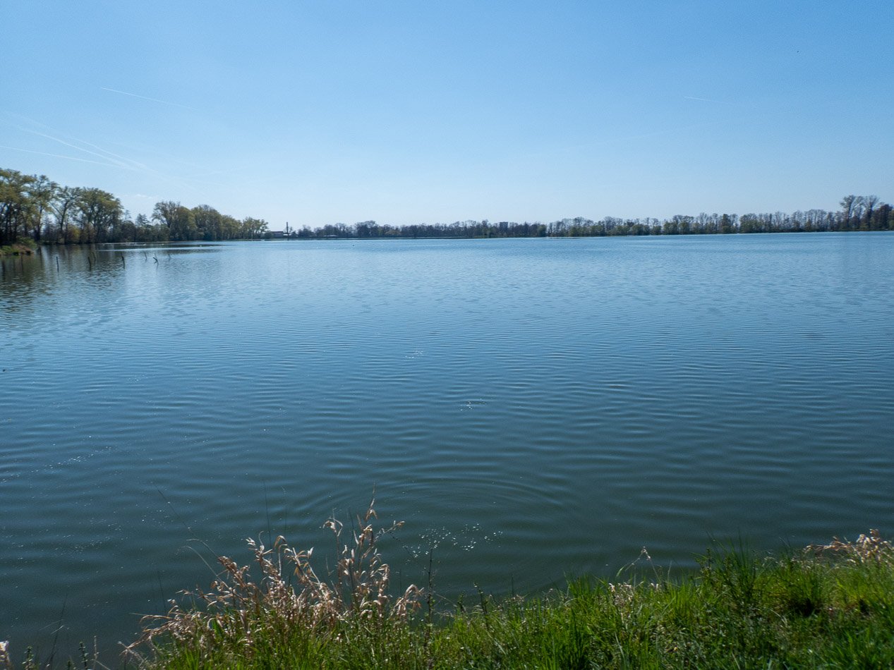 Šumvaldské rybníky