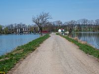 V pozadí drůbežárna