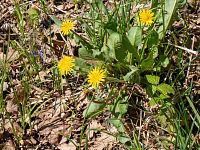 Jaro v plném proudu