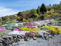 Od paty bývalého lomu