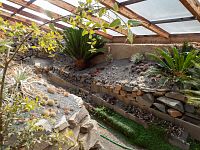 Kaktusový sklaeník