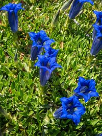 Ta barva je skoro neskutečná