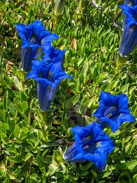 Ve skutečnosti je ovšem barva způsobeá lomem světla